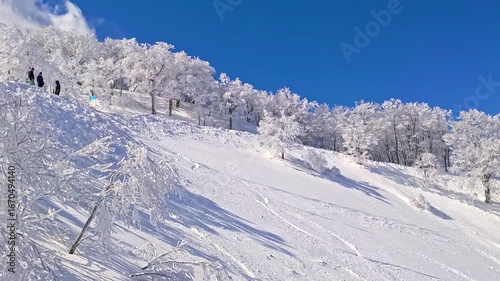 Ski-lift video of ungroomed slope with fresh powder snow on a clear day (Madarao Mountain Resort, Nagano, Japan)