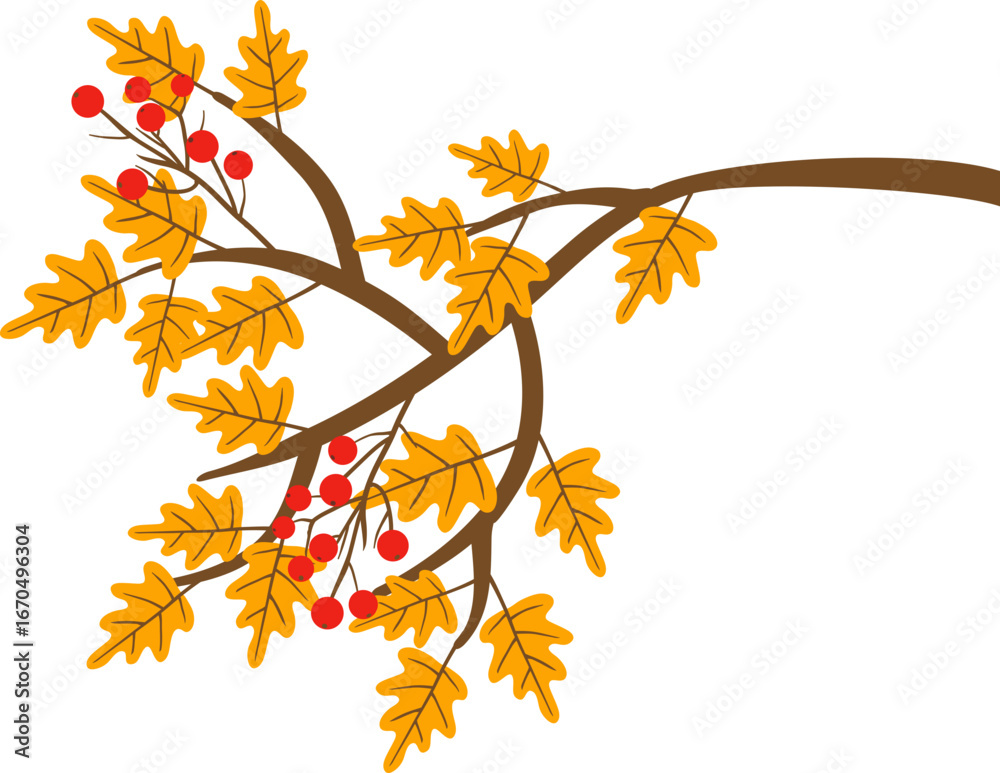 Obraz premium 노란색으로 물들은 단풍나무에 빨간색 열매가 달림