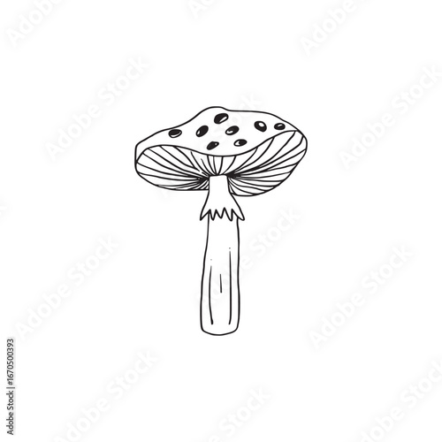 Hand drawn black and white illustration of an amanita mushroom with spotted cap and detailed gills. Botanical, nature-themed design.