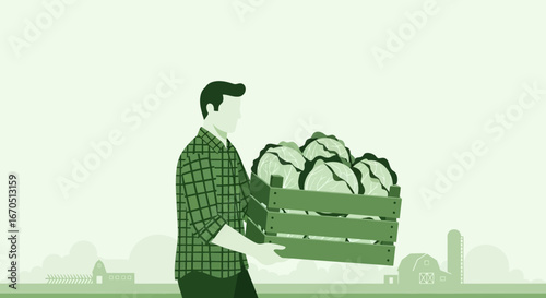 Farmer Carrying Cabbage Heads From Harvest Field Farm Fresh Market
