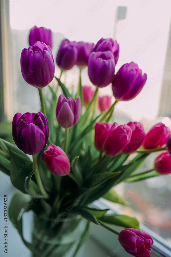 Obraz premium Glass vase with vibrant pink and purple tulips on a windowsill. Beautiful spring flowers and daylight create a romantic and cheerful mood, perfect for home decor, floral arrangements, and celebration