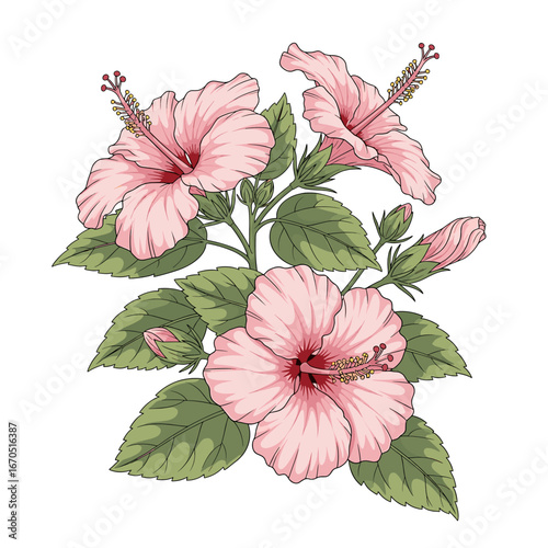Delicate pink hibiscus blossoms, lush green leaves, and unopened buds create a vibrant floral arrangement.