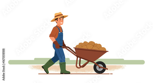 Happy Farmer Transports Fresh Potatoes In a Wheelbarrow On the Farm