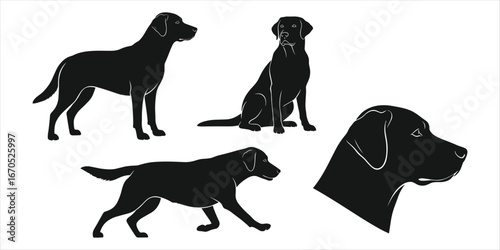 Black silhouettes of Labrador Retriever dogs in different poses on white background animal canine