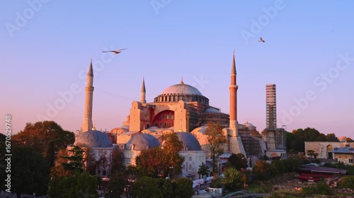 flying birds over hagia sophia at sunset – rooftop view in istanbul
