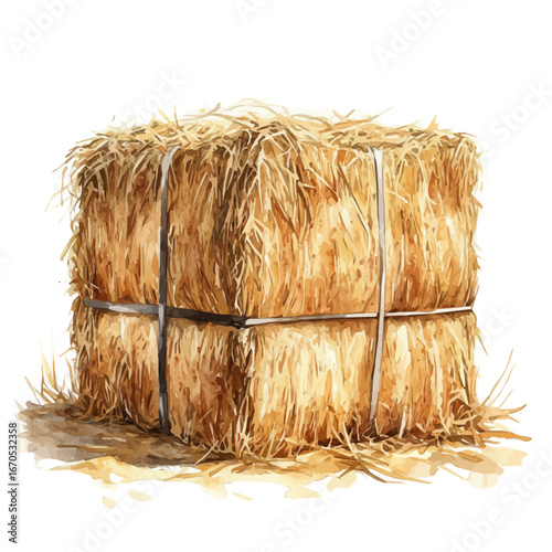 watercolor vector of Hay Bale, isolated on a white background.