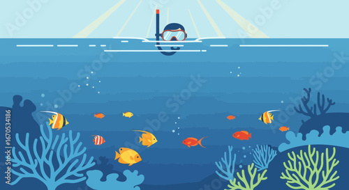 Snorkeler Exploring Underwater World With Coral Reef And Tropical Fish