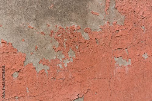muro
