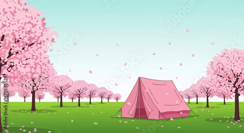 Springtime Camping Under Blooming Cherry Trees Serene Outdoor Adventure