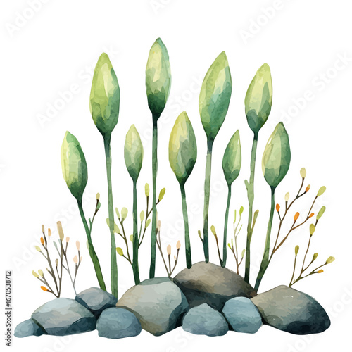 watercolor vector of Green Shoots, isolated on a white background.