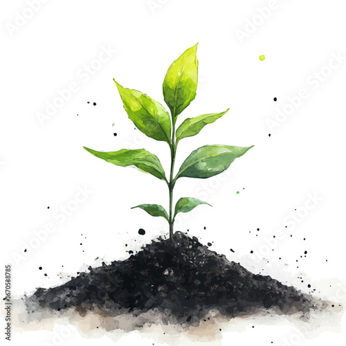 Green Shoots, watercolor painting vector, isolated on a white background.