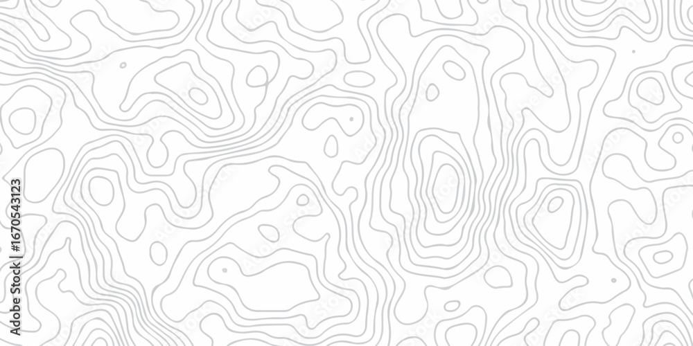 Fototapeta premium topography white background and black line wireframe isoline location diagram world map texture design. 
