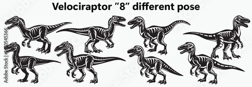 Velociraptor, Swift Hunter of Ancient Lands