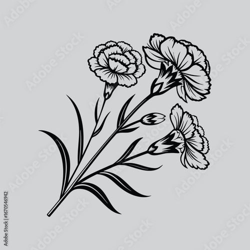 Carnation Modern Botanical Line Drawing