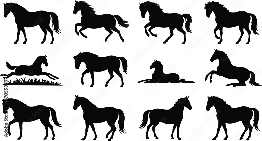 Fototapeta premium Collection of horse silhouettes in various poses and movements