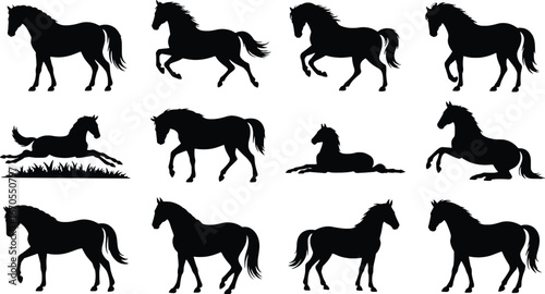 Collection of horse silhouettes in various poses and movements