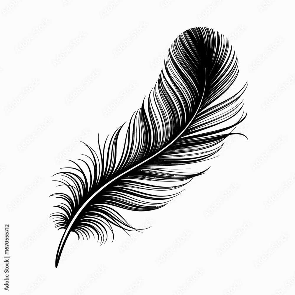 Obraz premium feather isolated on white background