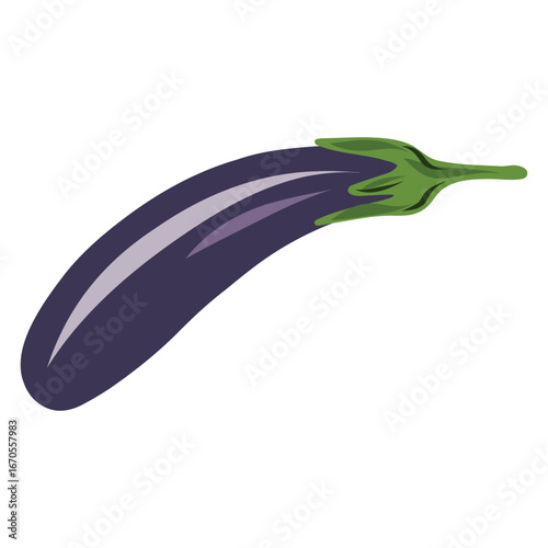 Curved eggplant vector illustration. Aubergine artwork, slender eggplant. Fresh eggplant ingredient illustration