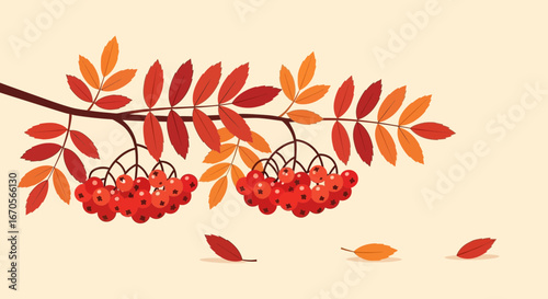 Stylized Autumnal Rowan Branch With Orange And Red Leaves Illustration