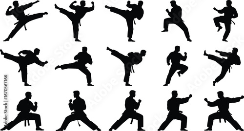 Silhouettes of karate fighters performing dynamic kicking and punching techniques