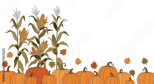 Thanksgiving Harvest Scene With Pumpkins And Corn Stalks With Leaves