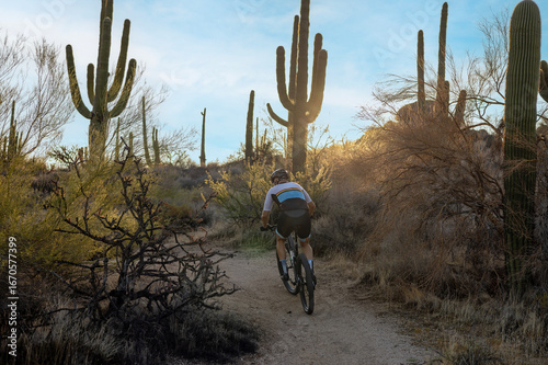 Man Riding A Mountain Bike Up A Desert Trail Early Morning With Cactus in Scottsdale Arizona