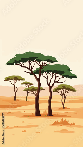 Acacia tree in savannah plains
