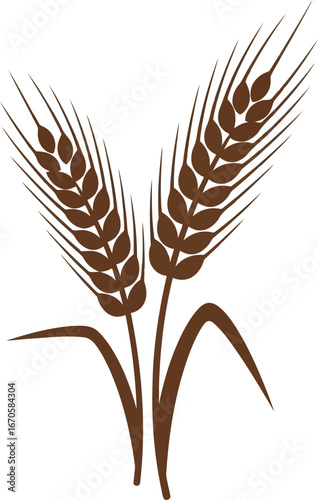 Golden wheat stalks field harvest agriculture symbol renewable energy food production vector