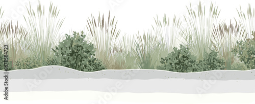 Serene Coastal Grasslands  A Lush Green Border Illustration