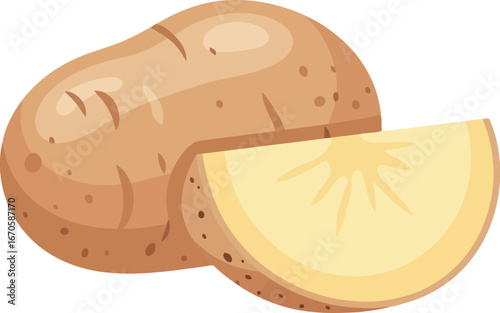 Fresh raw potato and slice healthy food ingredient isolated vector