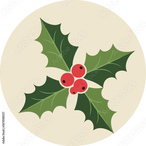 Festive holly sprig with red berries isolated seasonal holiday design vector