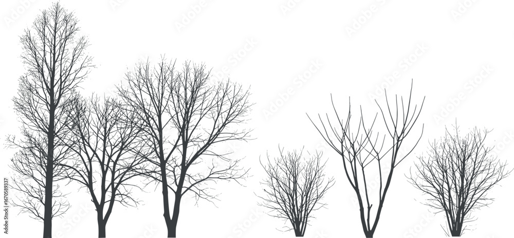 Obraz premium Bare trees silhouette art composition for design and concept visualization with negative space and isolated objects