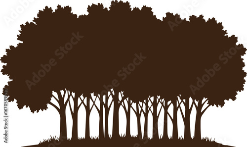 Dark brown silhouette of deciduous trees on white background