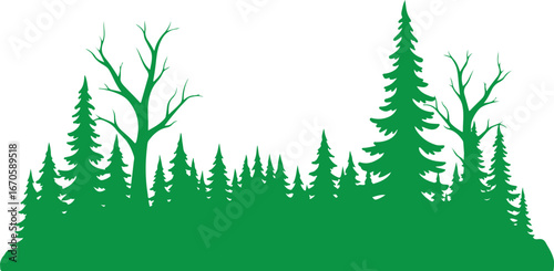 Green silhouette of mixed trees and bare branches forest