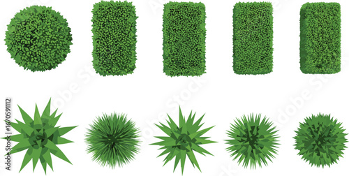 Top-down view of assorted green bushes, hedges, and spiky plants with round and rectangular shapes on white background.
