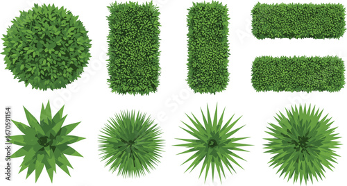 Top-down view of diverse green bushes, hedges, and spiky plants with round and rectangular shapes on white background.