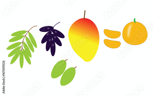Colorful assortment of fresh tropical fruits including mangoes oranges and plums on white background