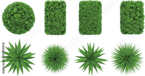 Top-down view of green bushes and spiky plants with various shapes including round, rectangular, and pointed foliage on white background.