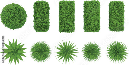 Top view illustration of various green shrubs and bushes, perfect for garden design, landscaping projects, and outdoor nature-related vector graphics.