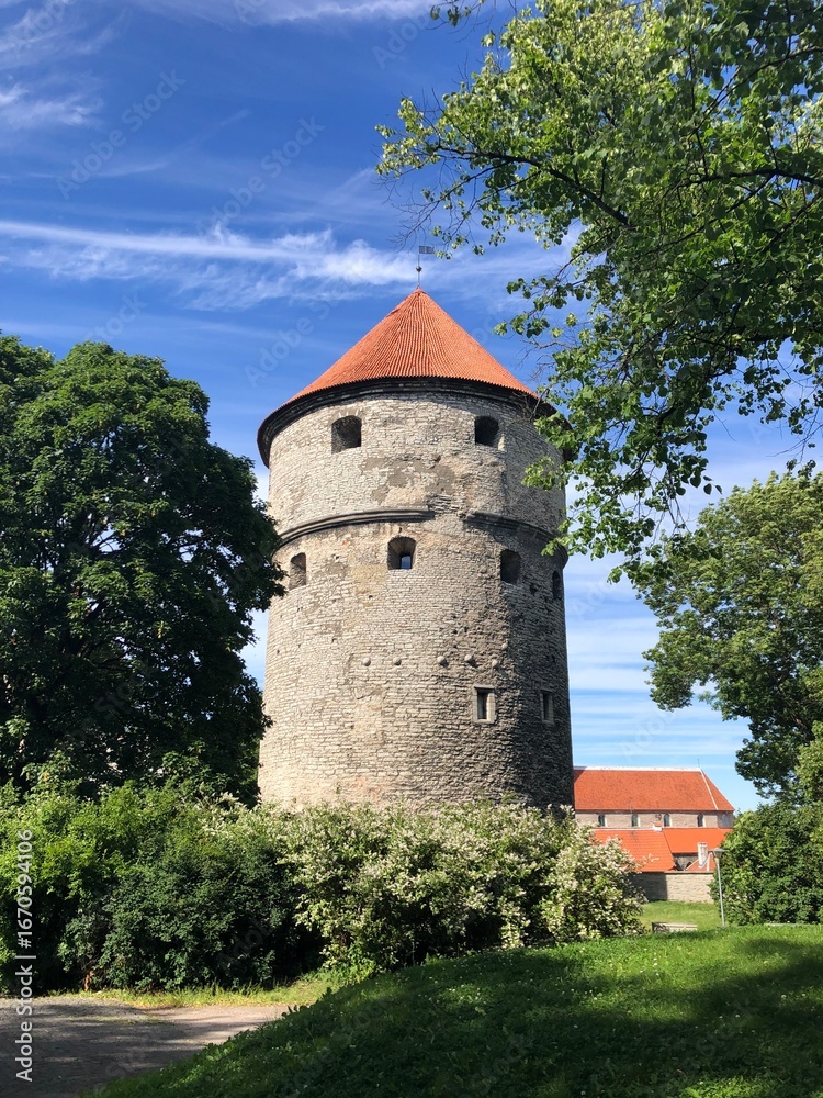 Fototapeta premium Medieval stone tower with red roof in Tallinn, Estonia