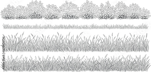 Detailed line art illustrations of lush green grass and flowering bushes, representing nature's bounty in a simple, elegant design