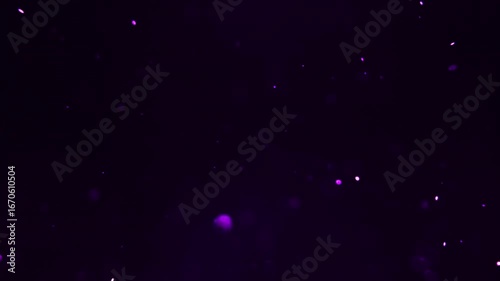 A small purple fairy dust, snow flying on a black background. 4K slow motion video 60 fps. Beautiful, festive background, template.	