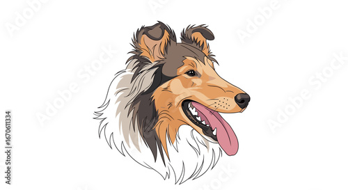 Majestic collie dog head portrait featuring a friendly expression and long fur detailed illustration