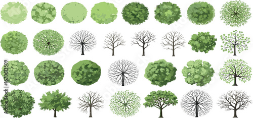 Collection of various deciduous and evergreen trees illustrated from a top-down perspective, perfect for architectural or landscape design projects
