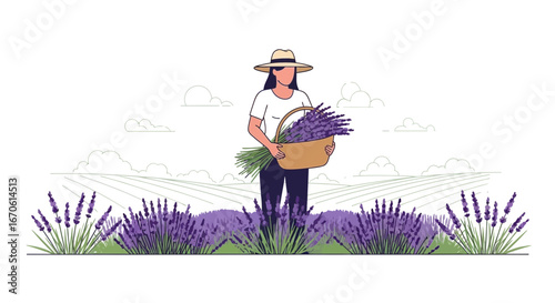 Woman Harvesting Lavender in a Picturesque Field Under a Cloudy Sky