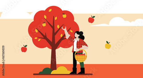 Woman Harvesting Ripe Apples From Tree On Sunny Autumnal Day