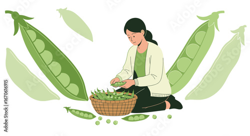 Woman Preparing Fresh Organic Peas From Her Garden In Spring Season