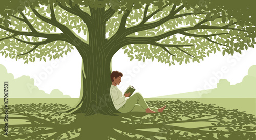 Woman Reading Under A Large Shade Tree On A Sunny Day Outdoors
