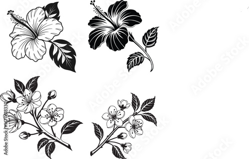 Elegant black and white botanical line art featuring hibiscus and cherry blossoms with delicate leaves and buds