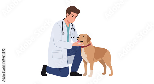 A veterinarian kneels and examines a light brown dog with a red collar, wearing a white coat and stethoscope.